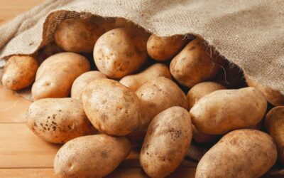 Patata en saco de papel: conservación más duradera